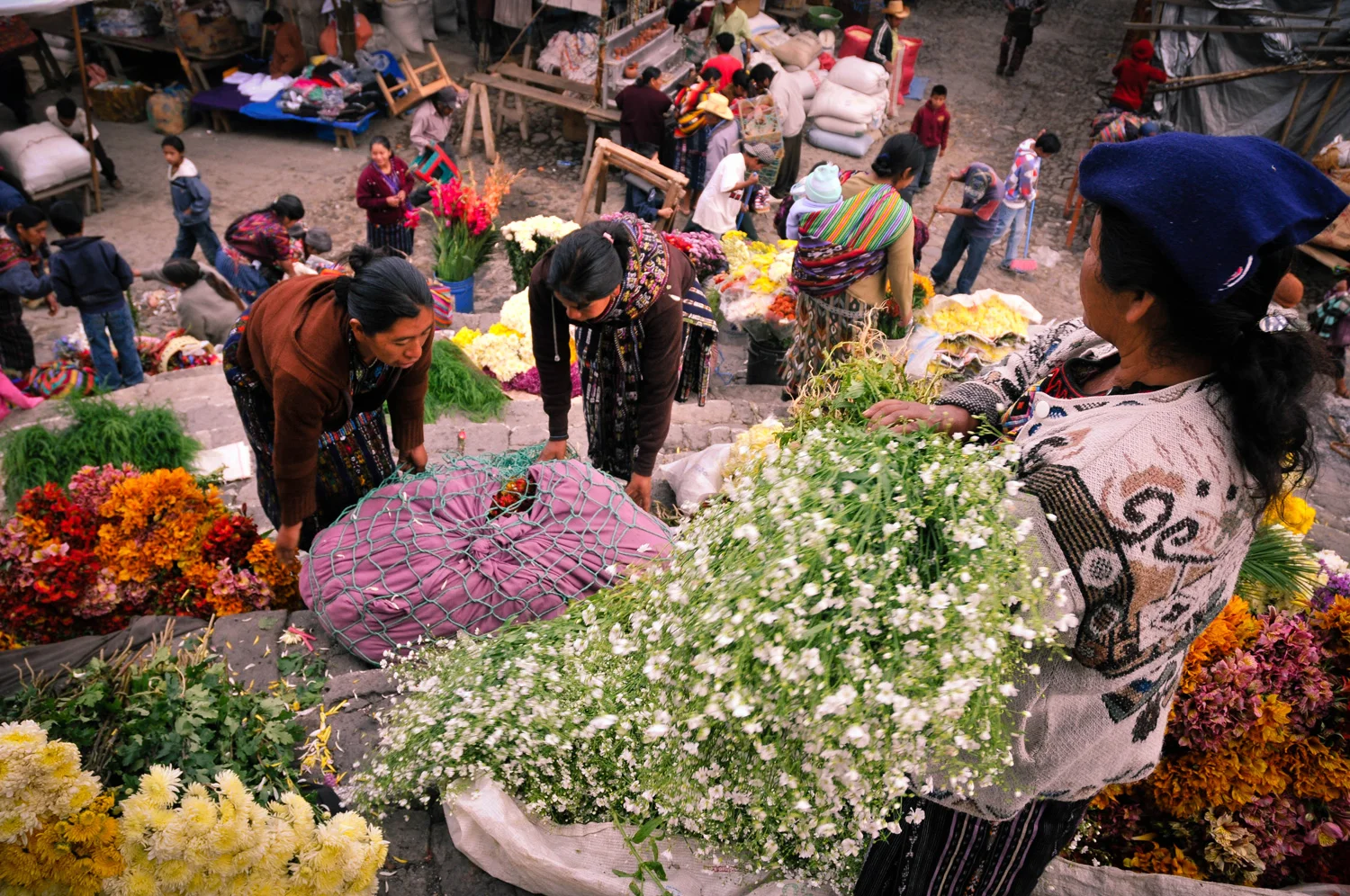 gUATE-fleur-up2.jpg