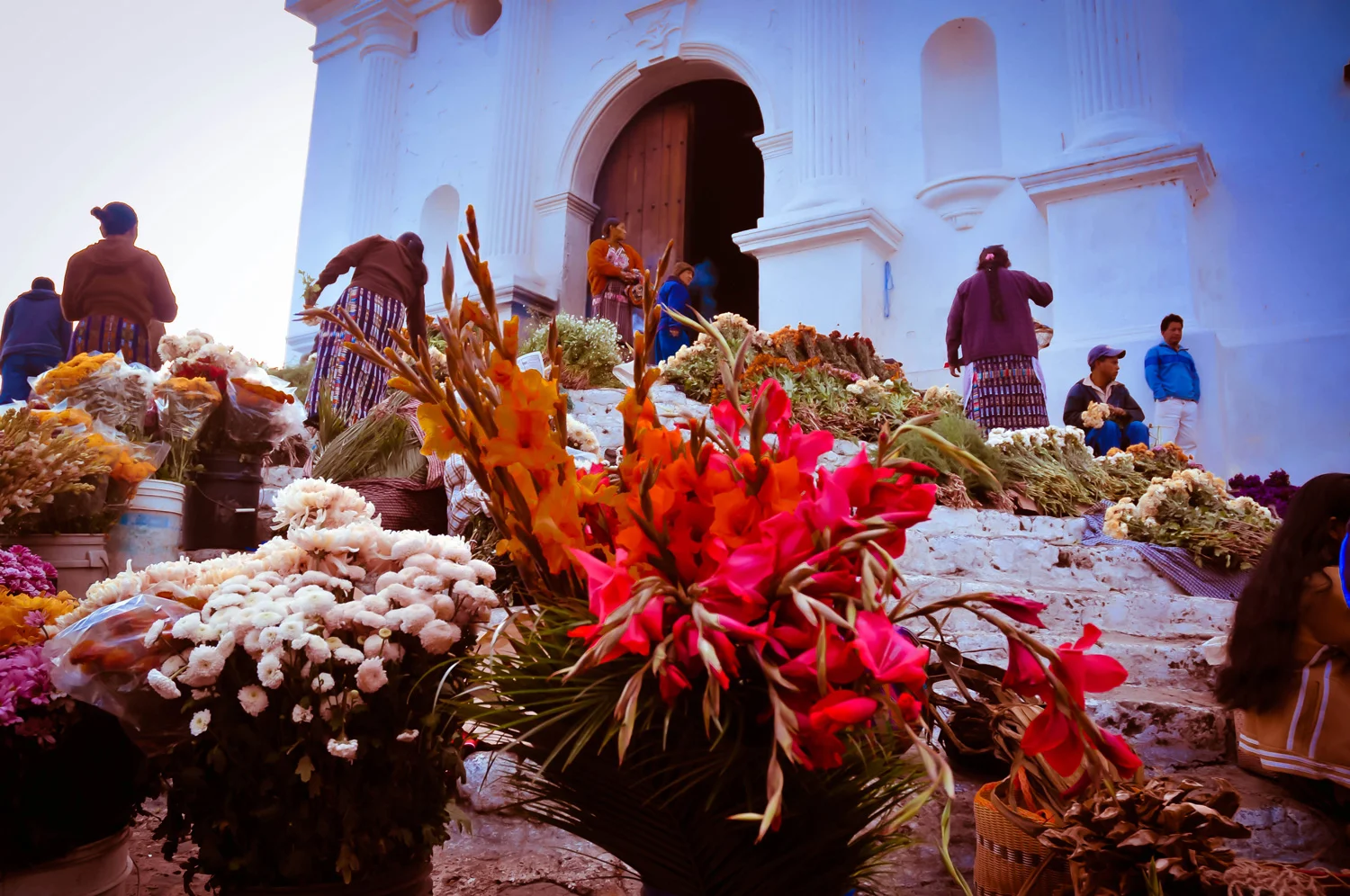 gUATE-FLOZ-HILLCHURCH.jpg