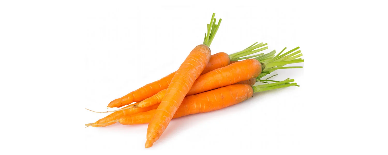 CARROT