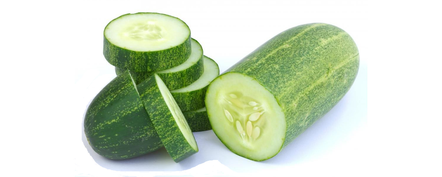 CUCUMBER