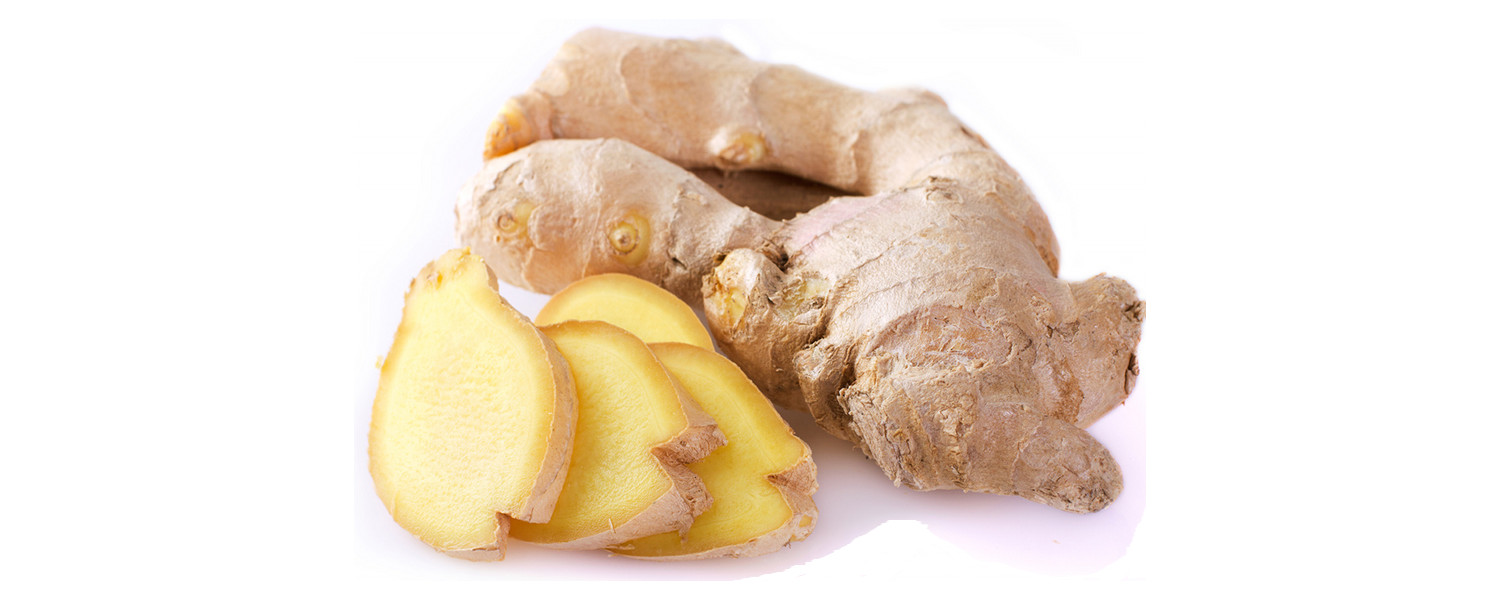 GINGER