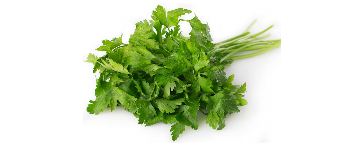 PARSLEY