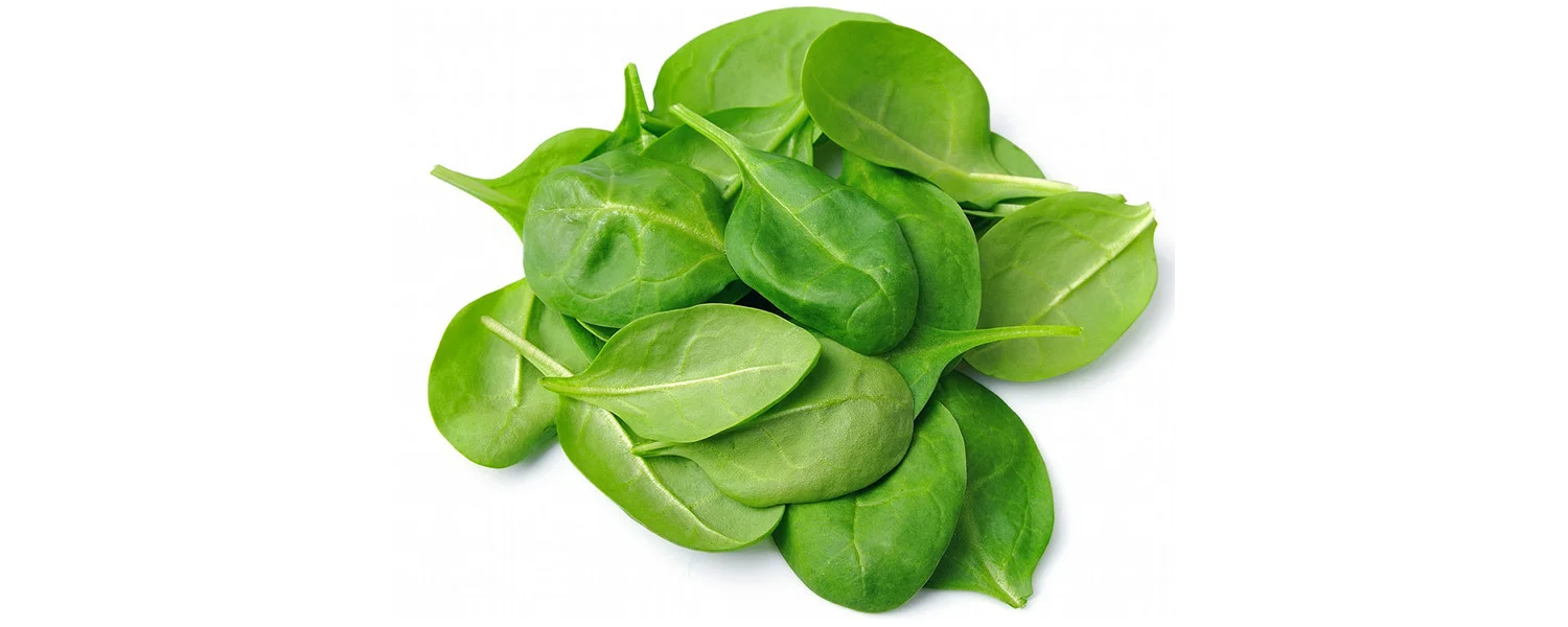 SPINACH