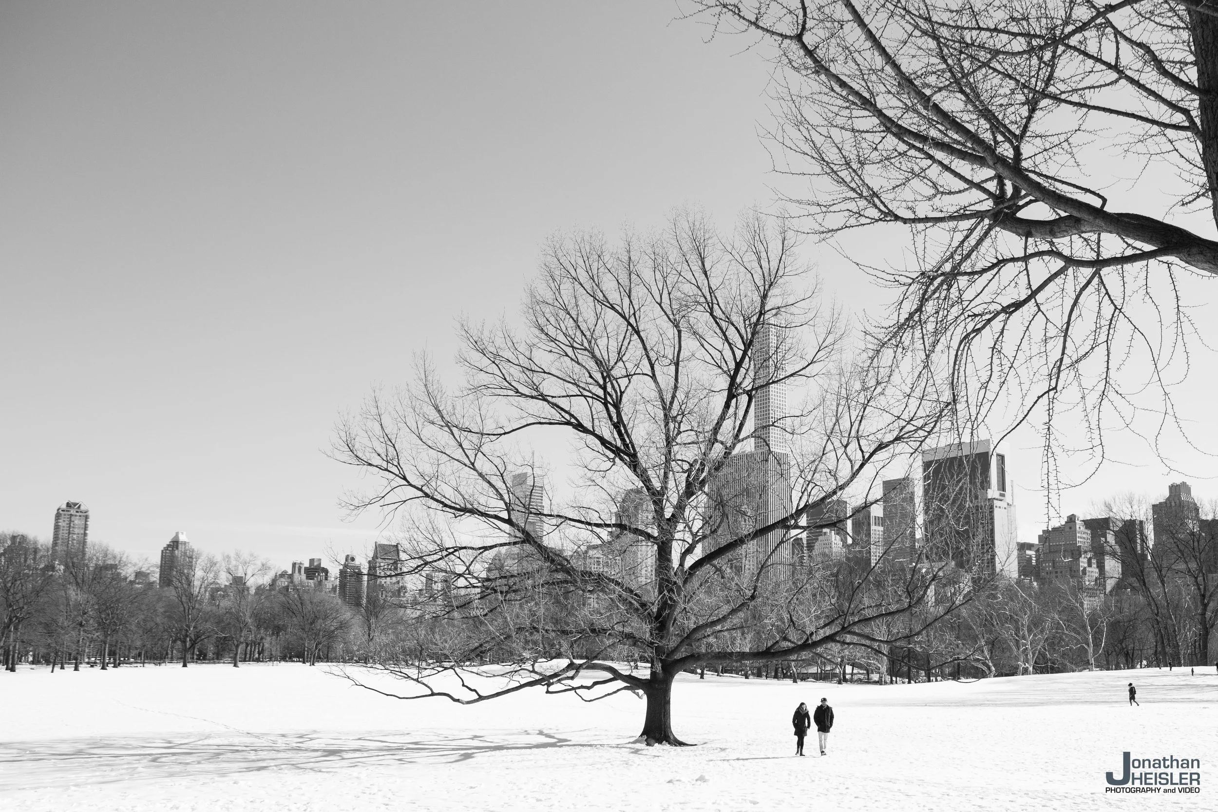 Central Park.jpg