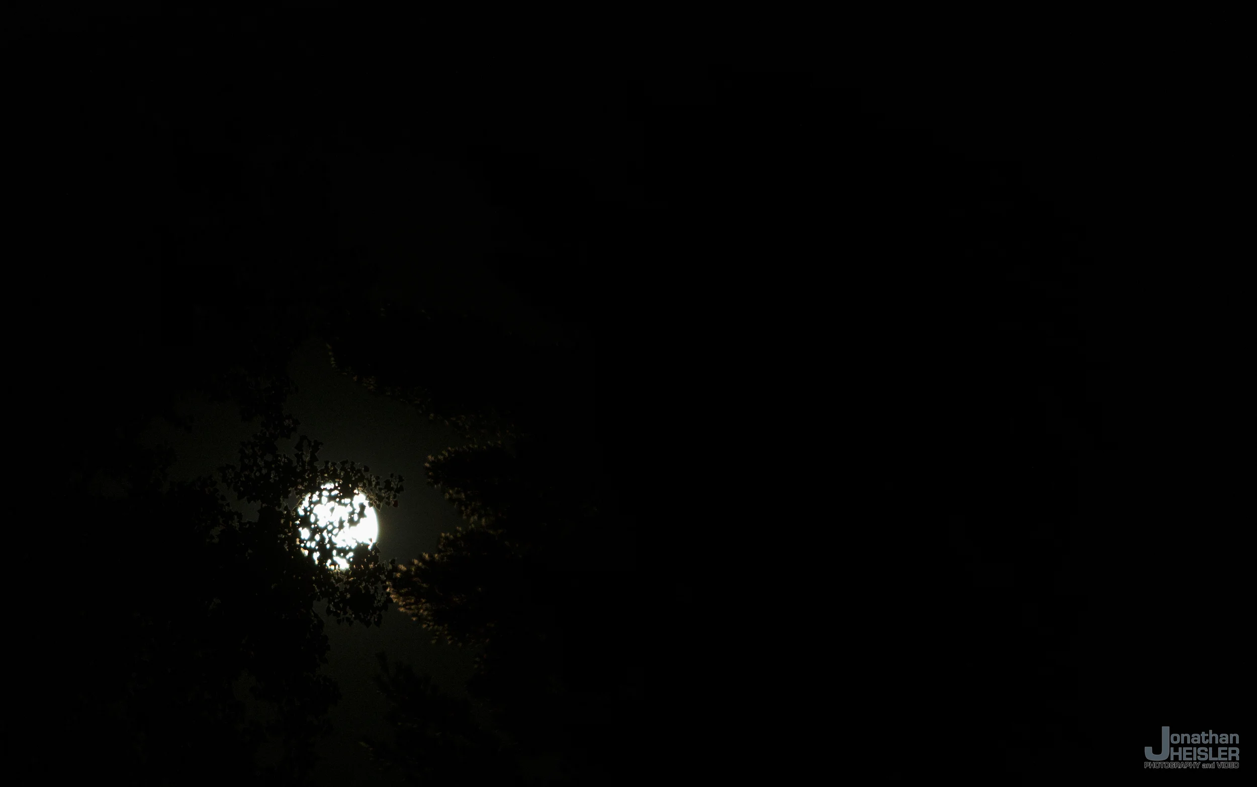 _91A5814.jpg