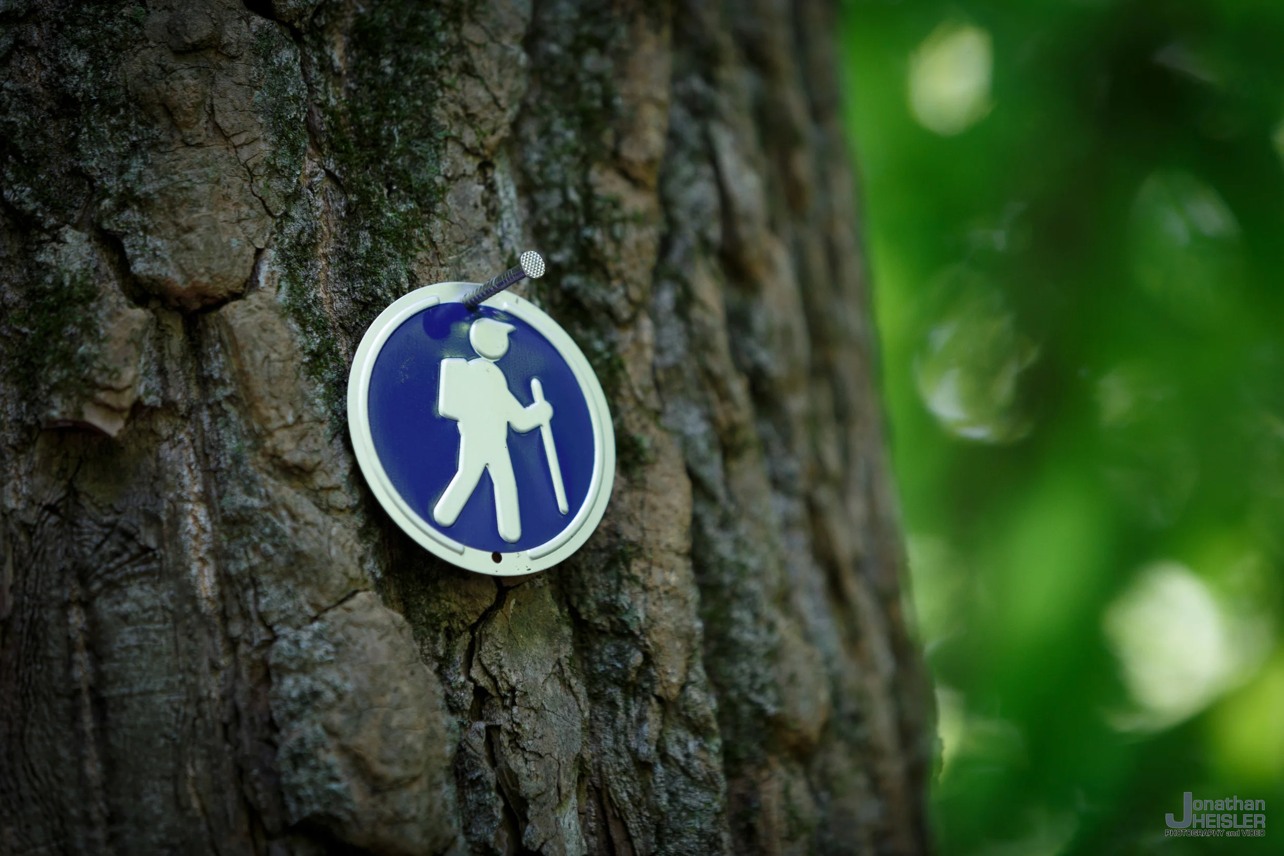 _MG_3535.jpg