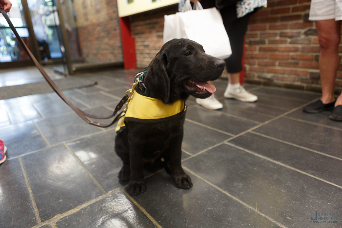 America's VetDogs_ Old Bethpage Village Restoration __ Jonathan Heisler _ 003.jpg