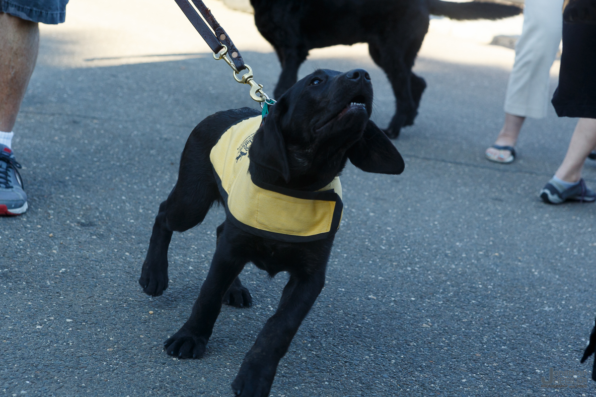 America's VetDogs_ Old Bethpage Village Restoration __ Jonathan Heisler _ 007.jpg