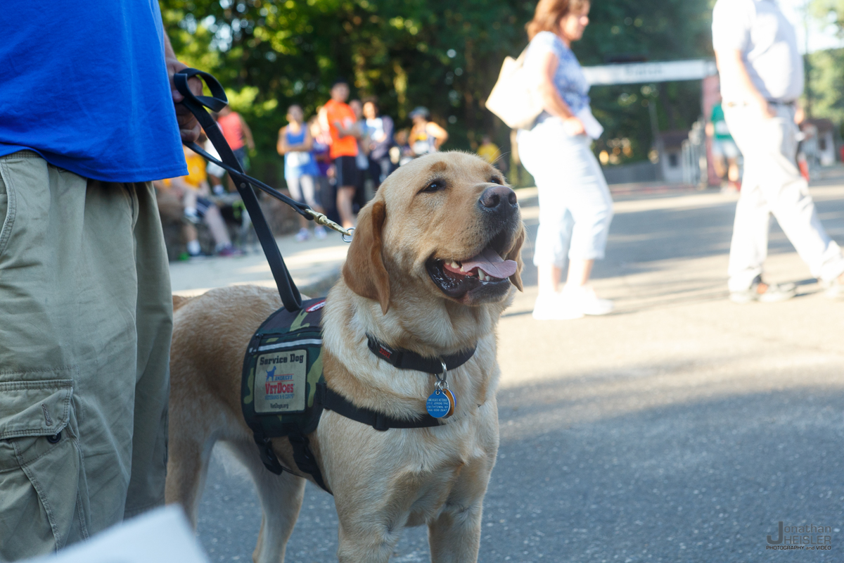 America's VetDogs_ Old Bethpage Village Restoration __ Jonathan Heisler _ 008.jpg