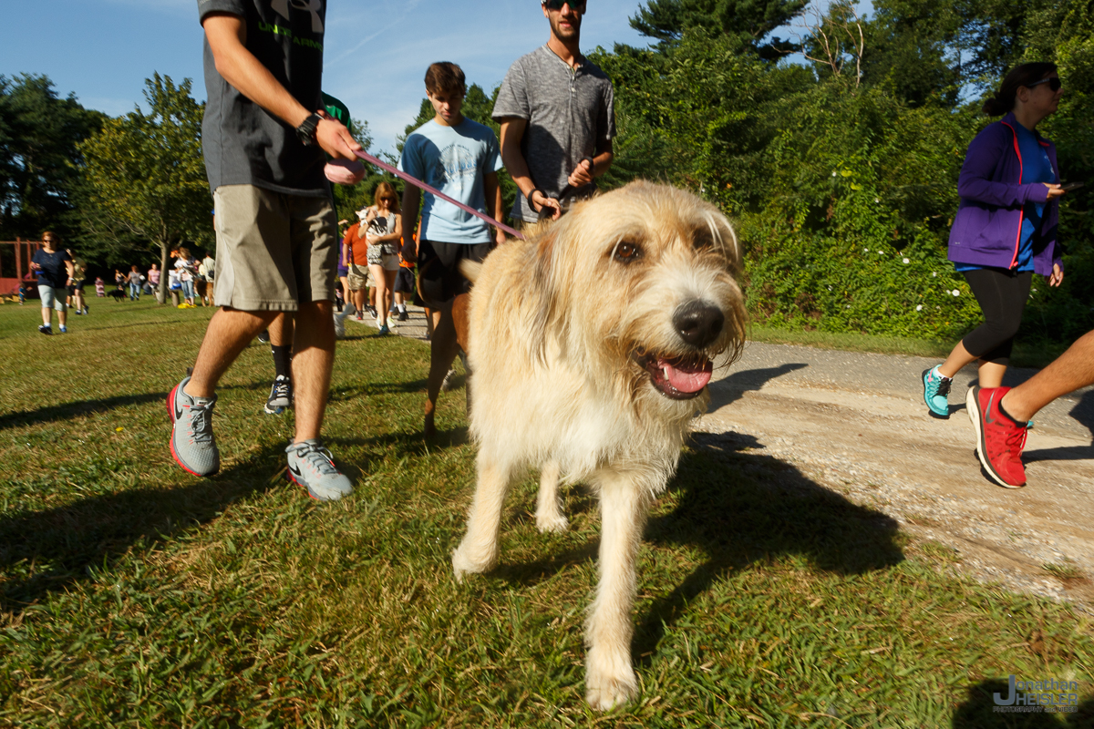 America's VetDogs_ Old Bethpage Village Restoration __ Jonathan Heisler _ 021.jpg
