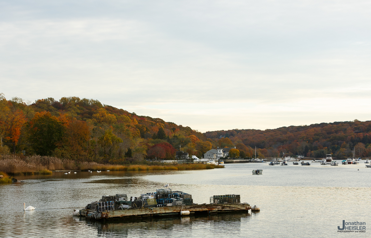 Cold Spring Harbor