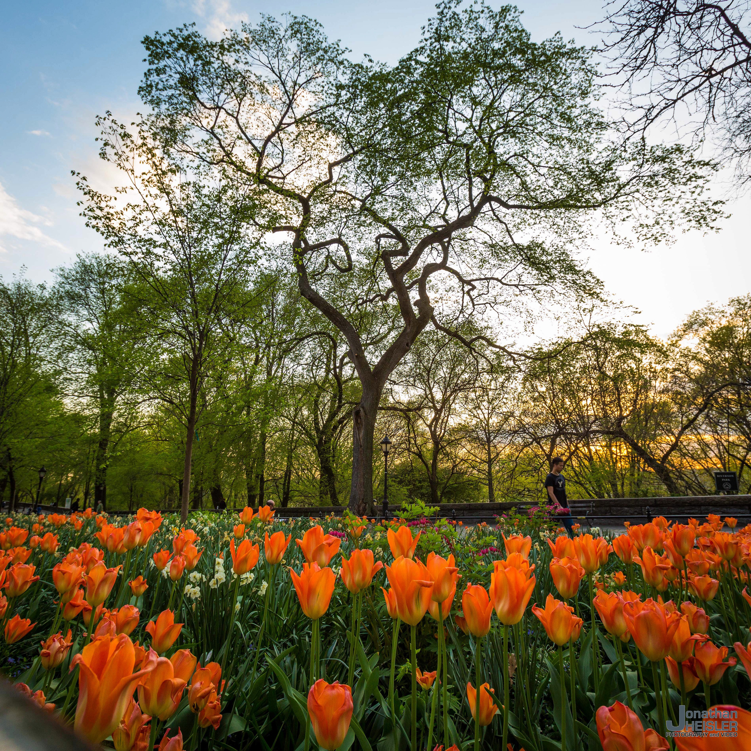 Best of 2015_ Long Island Photographer __  Jonathan Heisler _ 12.30.2013_014.jpg