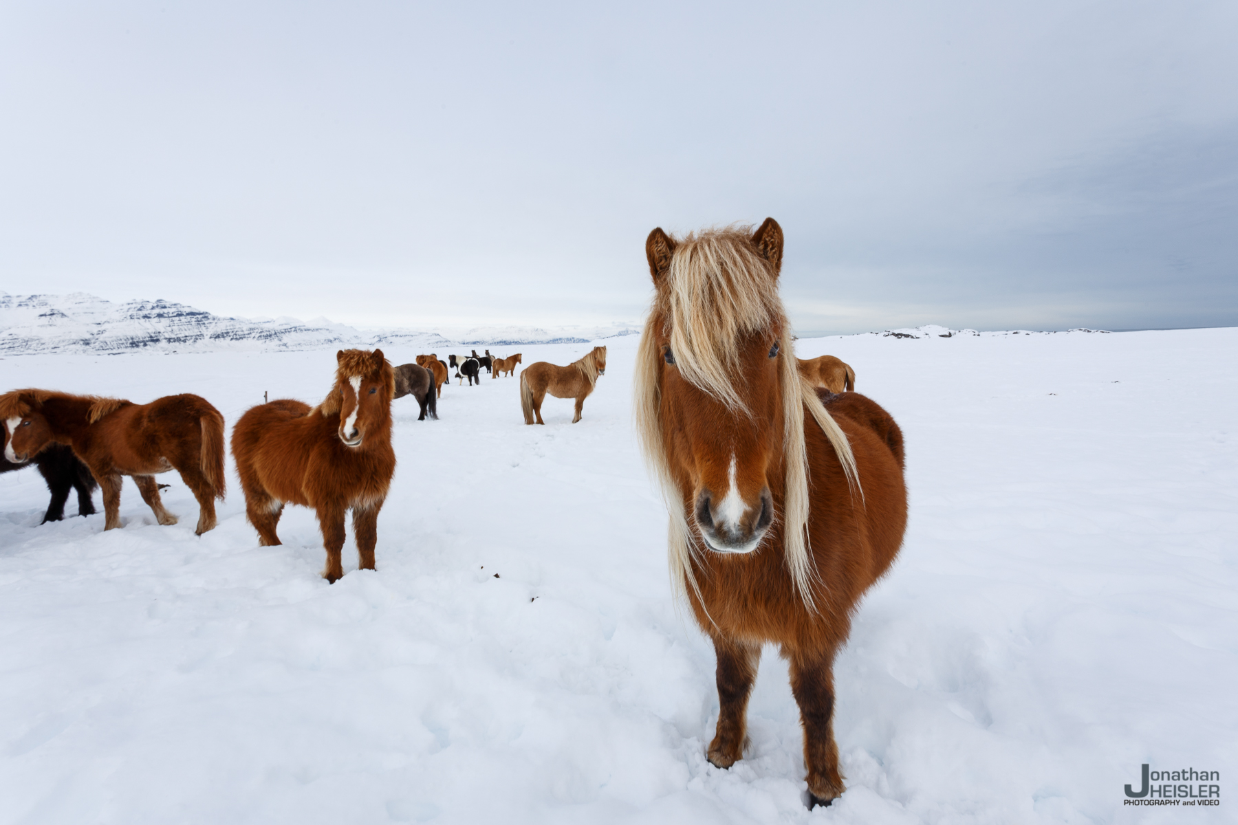 Iceland Winter Photos_  Jonathan Heisler __  02292016 _ 035.jpg