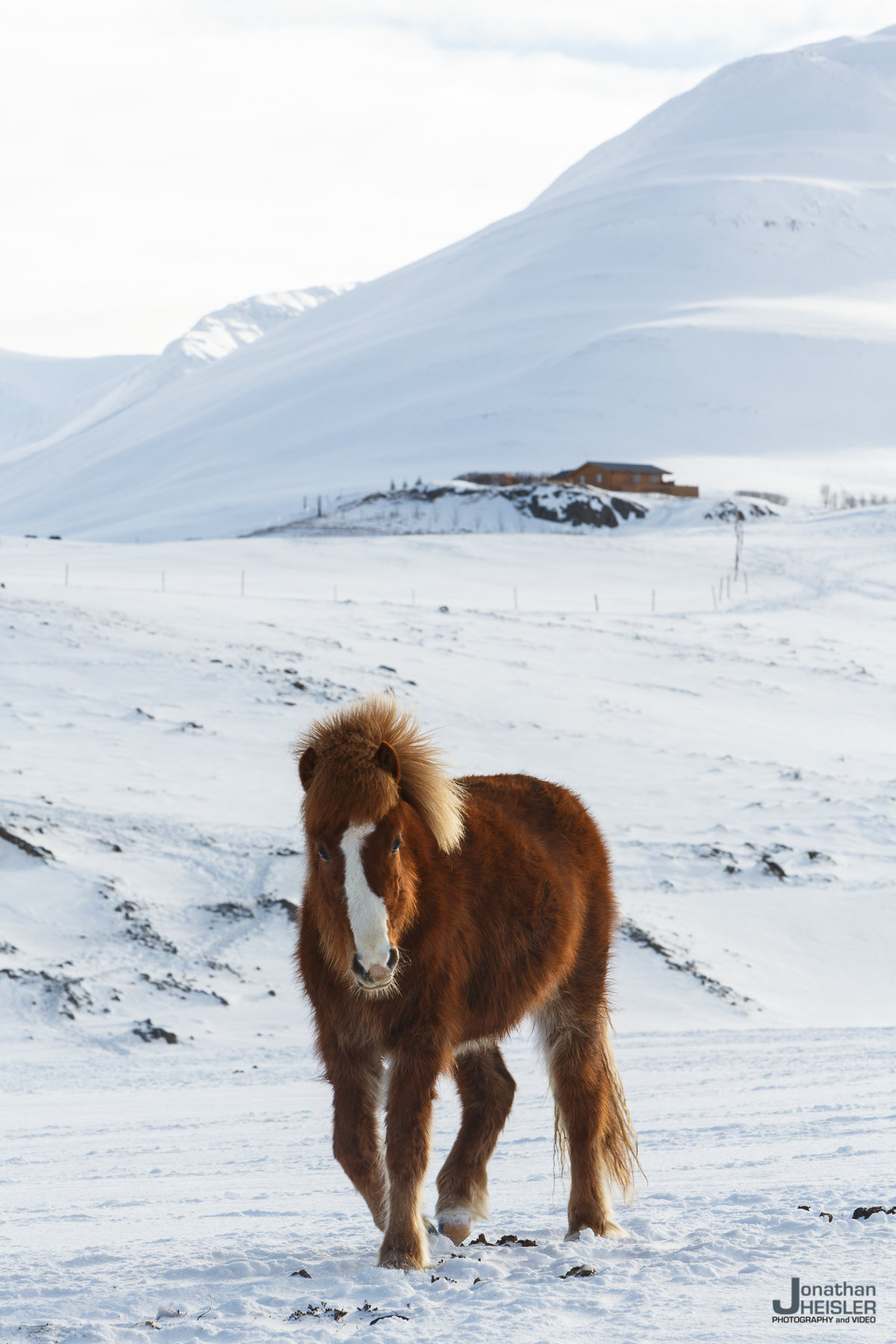 Iceland Winter Photos_  Jonathan Heisler __  02292016 _ 050.jpg