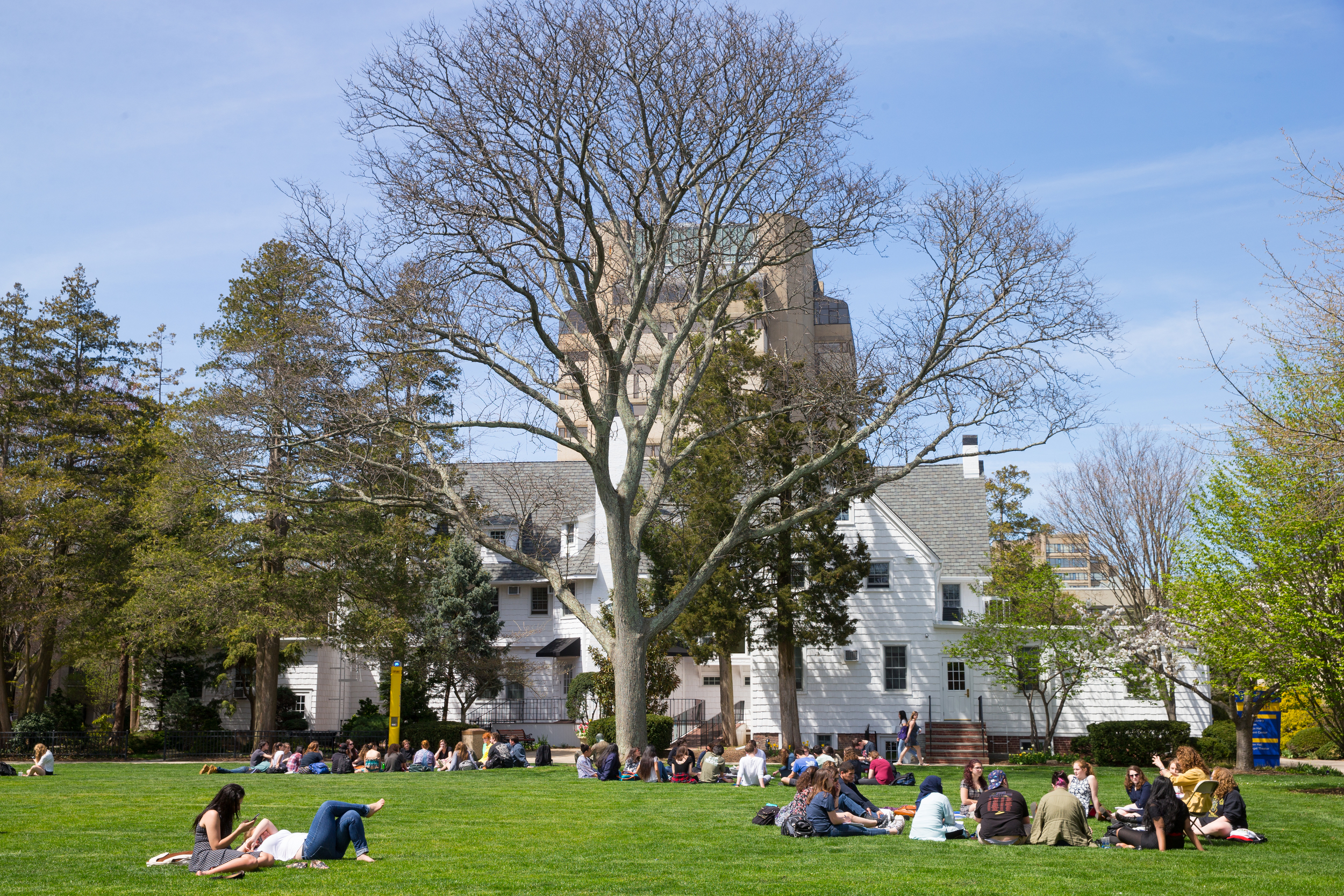  Photographer: Jonathan Heisler, Hofstra University Photographer 