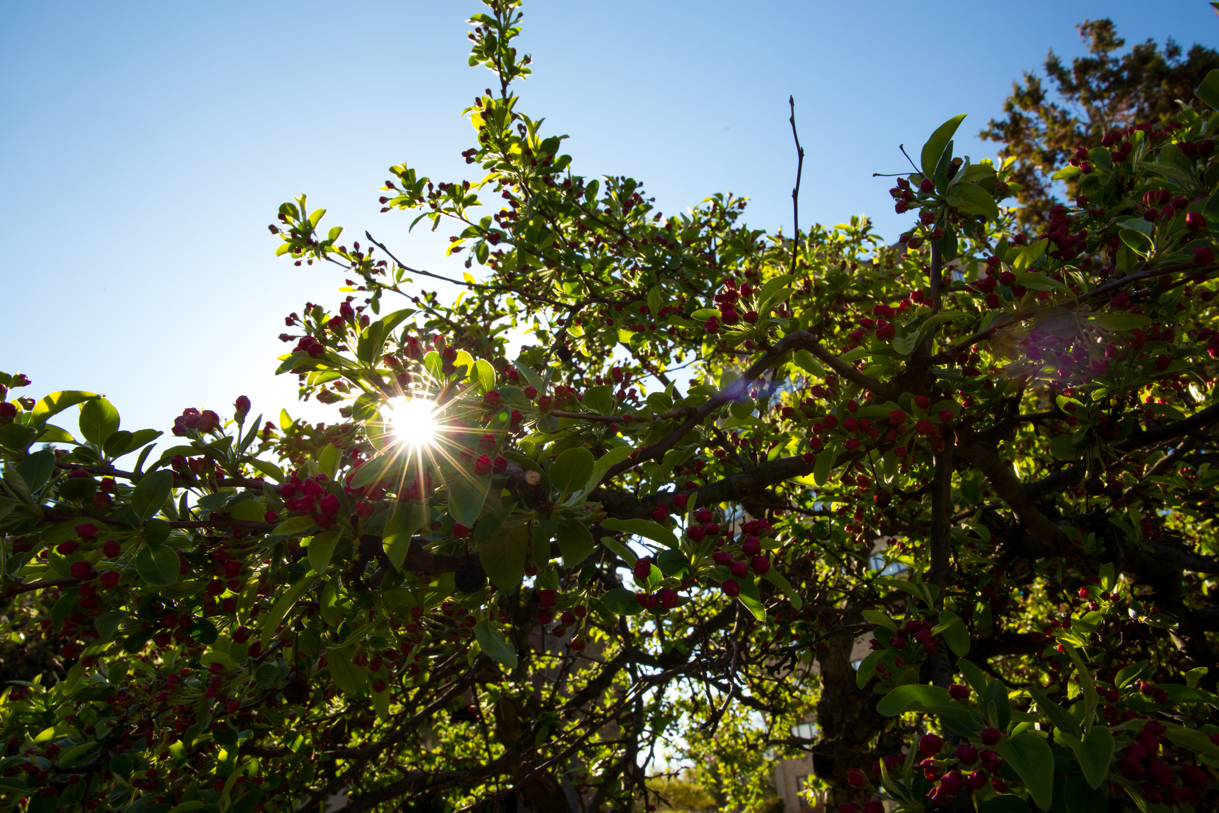  Photographer: Jonathan Heisler, Hofstra University Photographer 