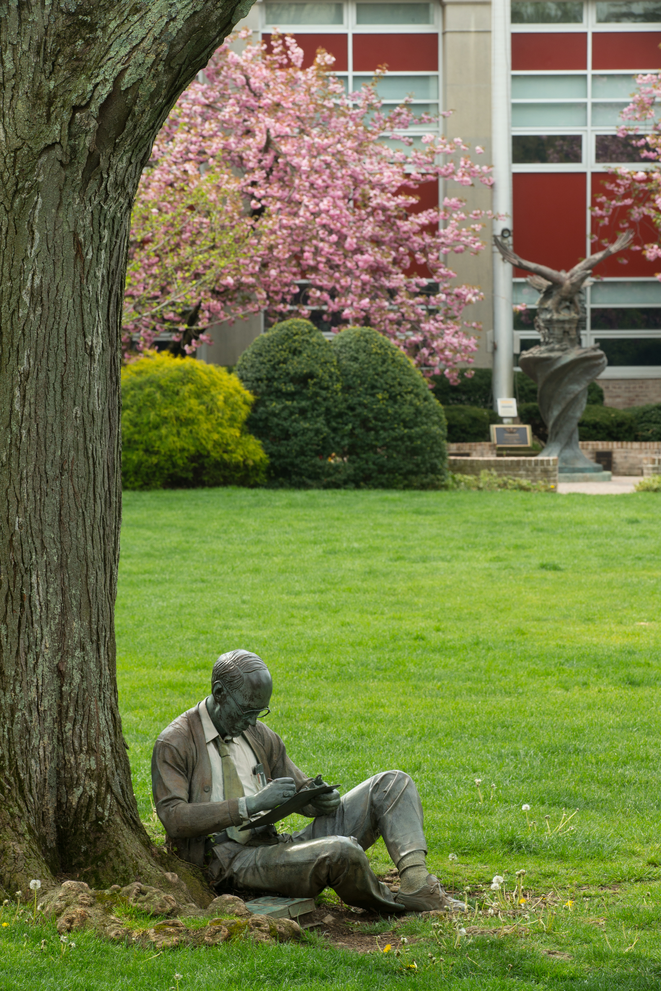  Photographer: Jonathan Heisler, Hofstra University Photographer 