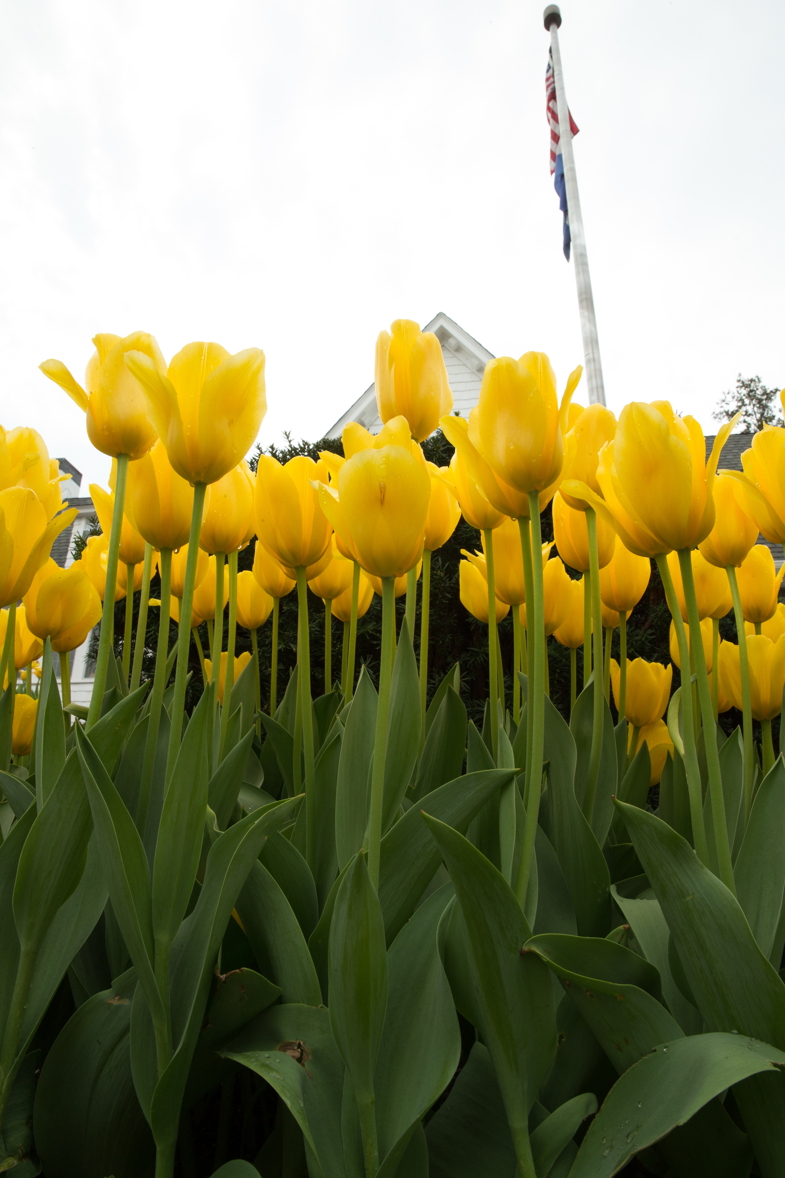  Photographer: Jonathan Heisler, Hofstra University Photographer 