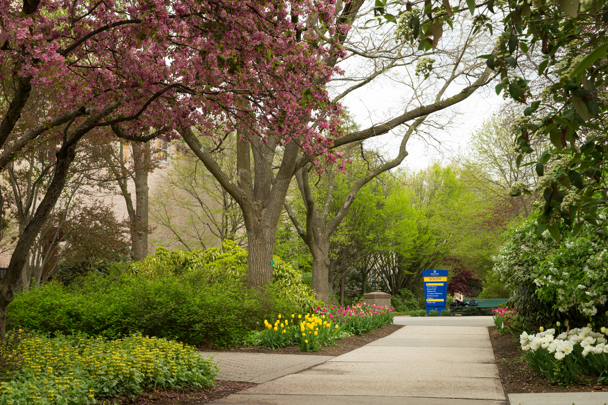  Photographer: Jonathan Heisler, Hofstra University Photographer 