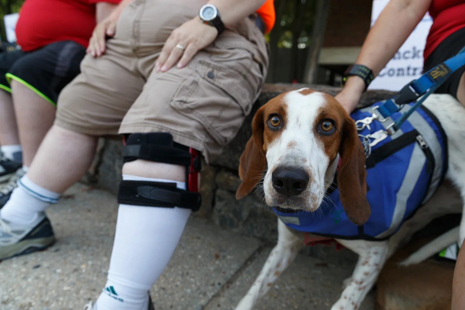 Americas VetDogs 5k _ Jonathan Heisler __ 0730016 _ 275.jpg