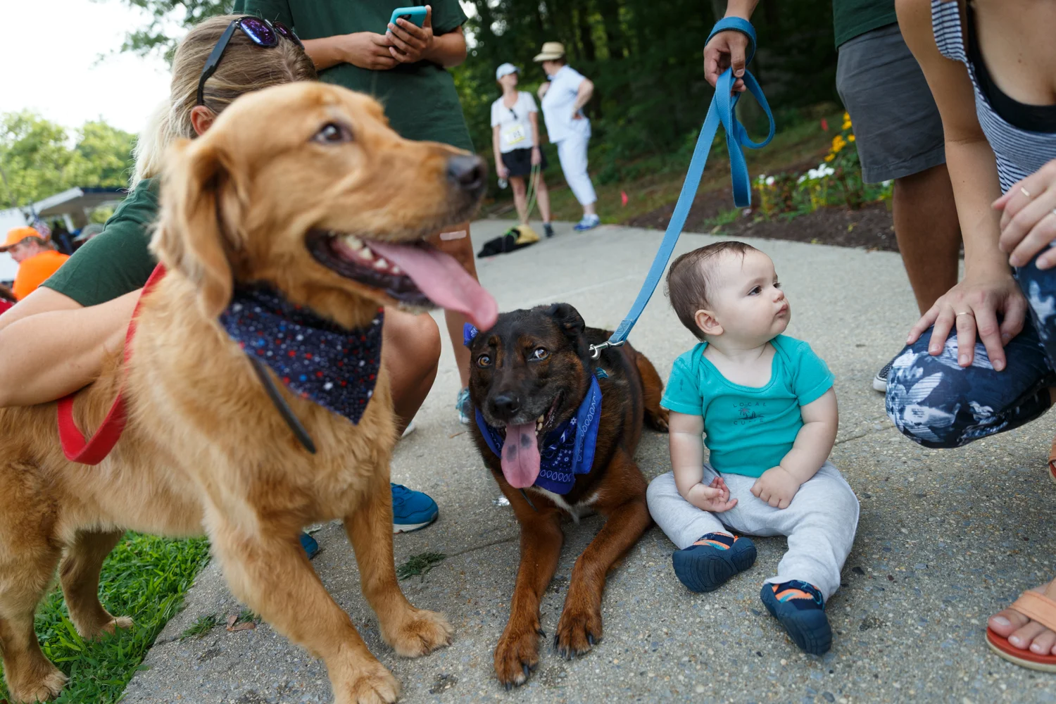 Americas VetDogs 5k _ Jonathan Heisler __ 0730016 _ 297.jpg