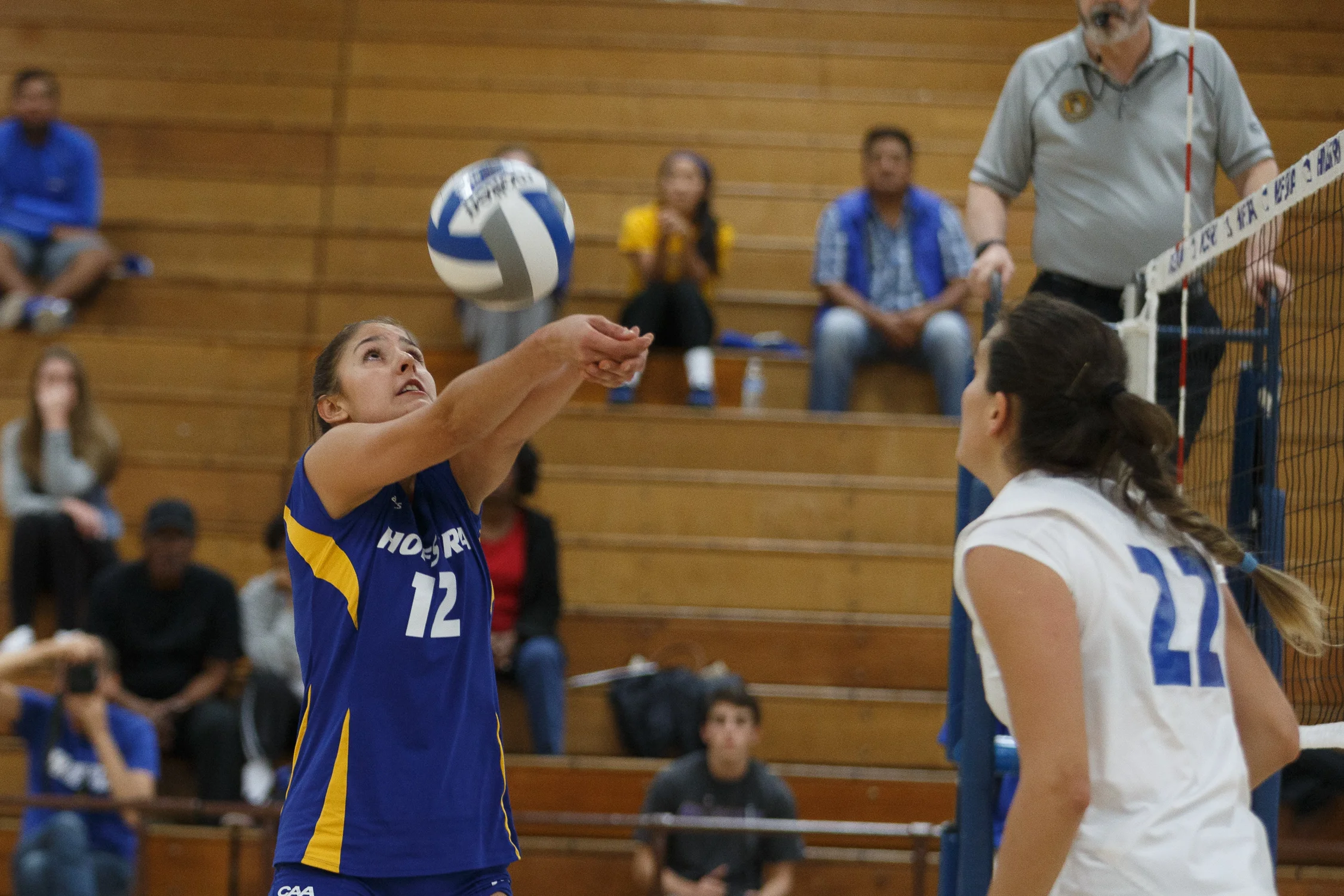 Hofstra Volleyball _ 6.jpg