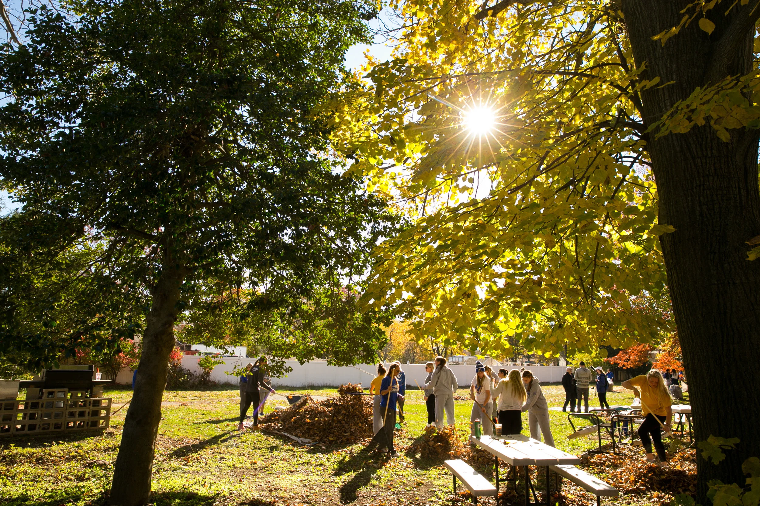 Photographer: Jonathan Heisler, Hofstra University Photographer