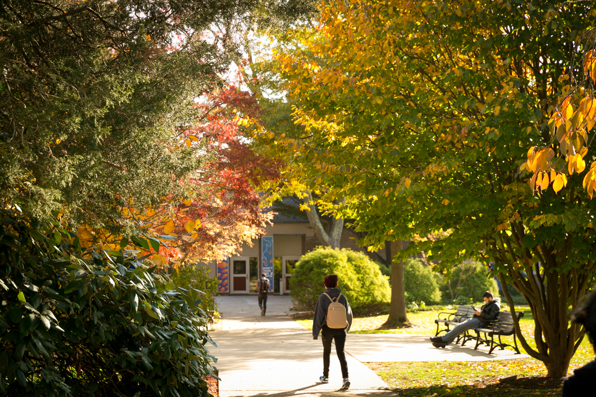 Hofstra University Fall
