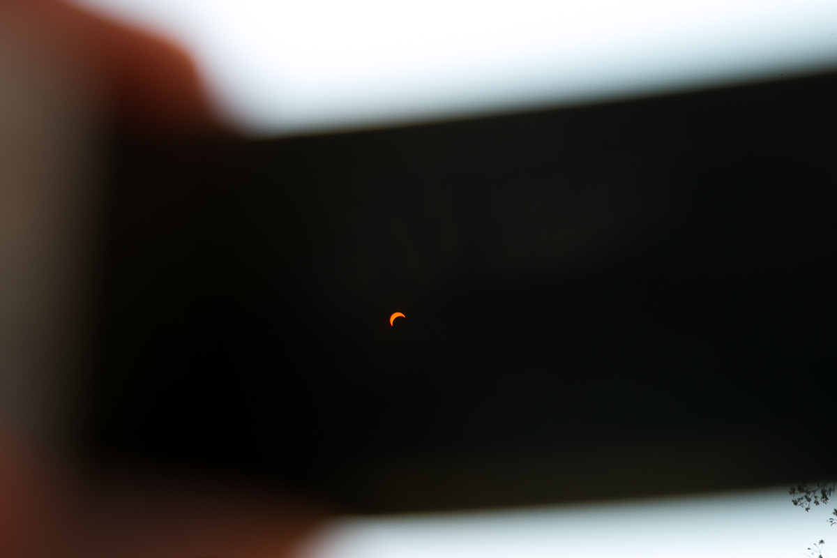 Photographer: Jonathan Heisler, Hofstra University Photographer
