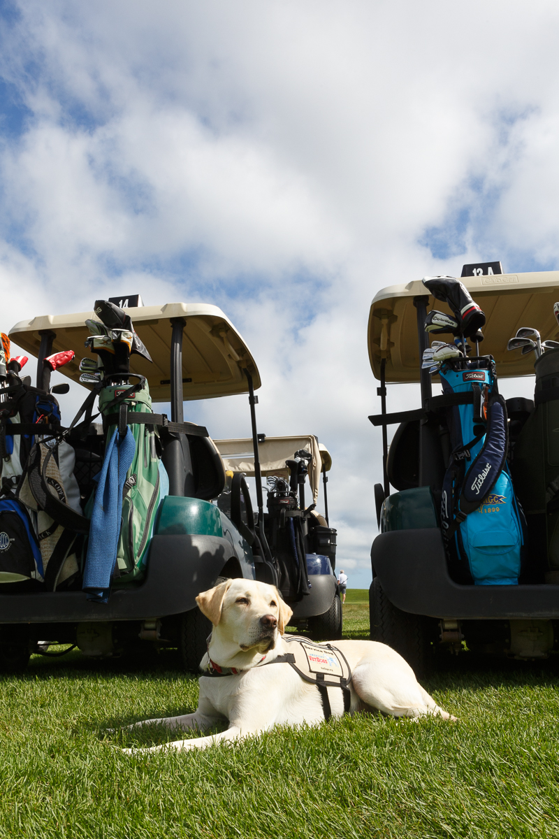 Americas VetDogs Golf Outing _ Jonathan Heisler _ 8262019 _129.jpg