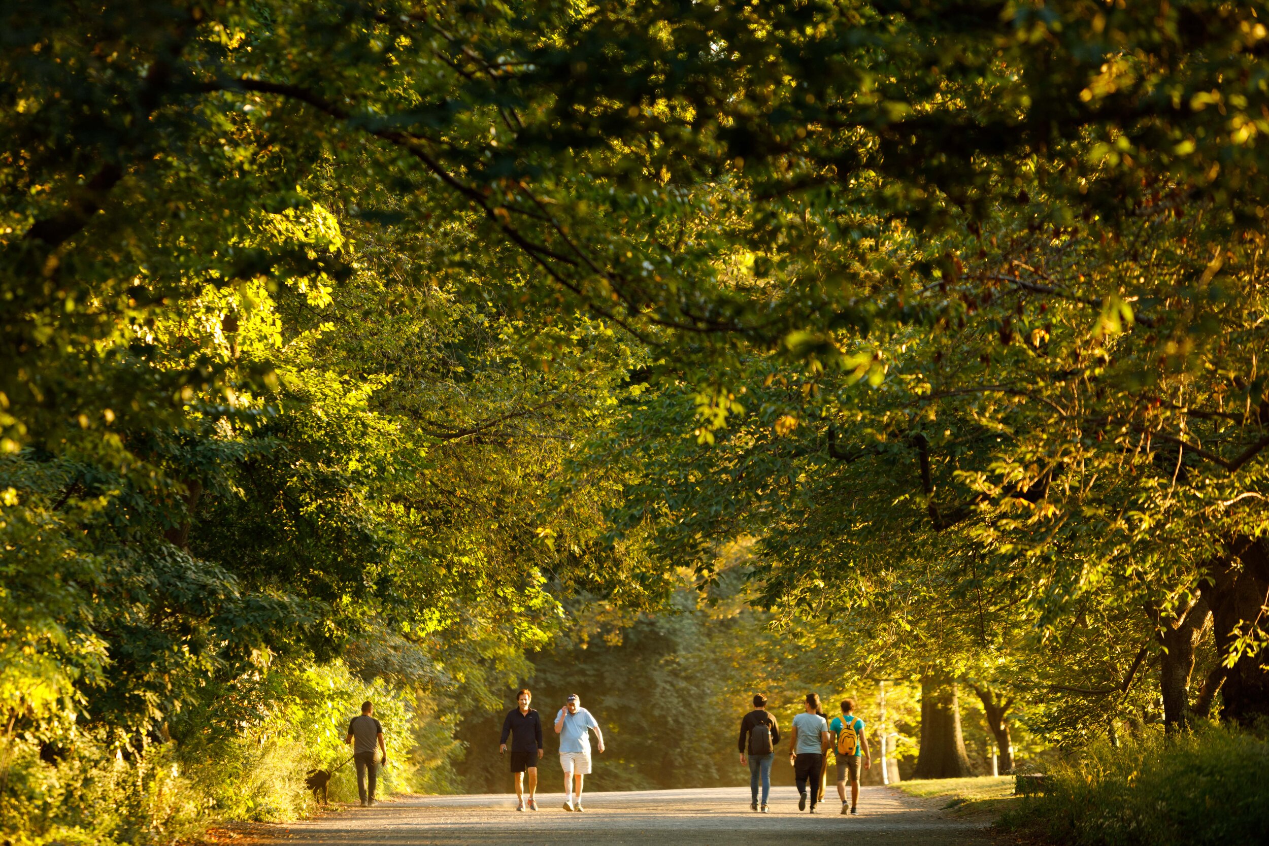 NYC Central Park Fall Running Photos _ Jonathan Heisler _ 9192019 _0005.jpg