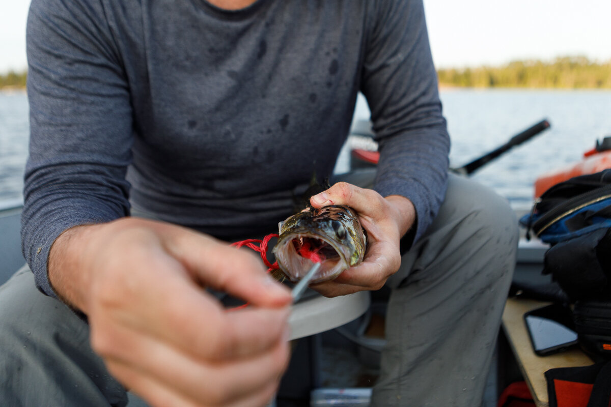 Mattice Lake Outfitters Fishing Trips _ Jonathan Heisler _ 7252019 _0017.jpg