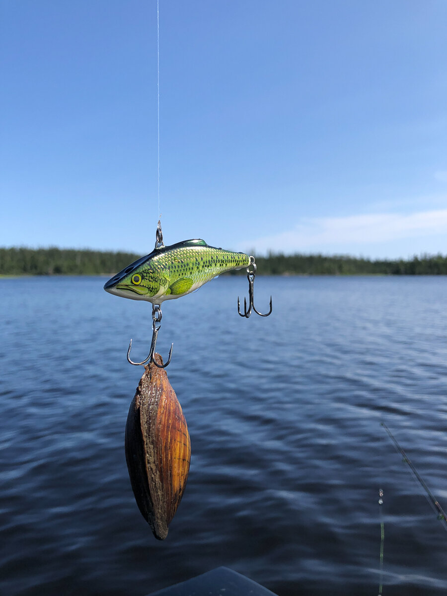 Mattice Lake Outfitters Fishing Trips _ Jonathan Heisler _ 7252019 _0024.jpg