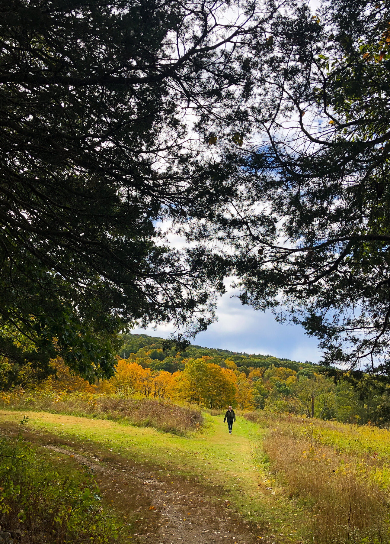 Bonticuo Crag New Paltz Fall Camping _ Jonathan Heisler _ 1082019 _0017.jpg