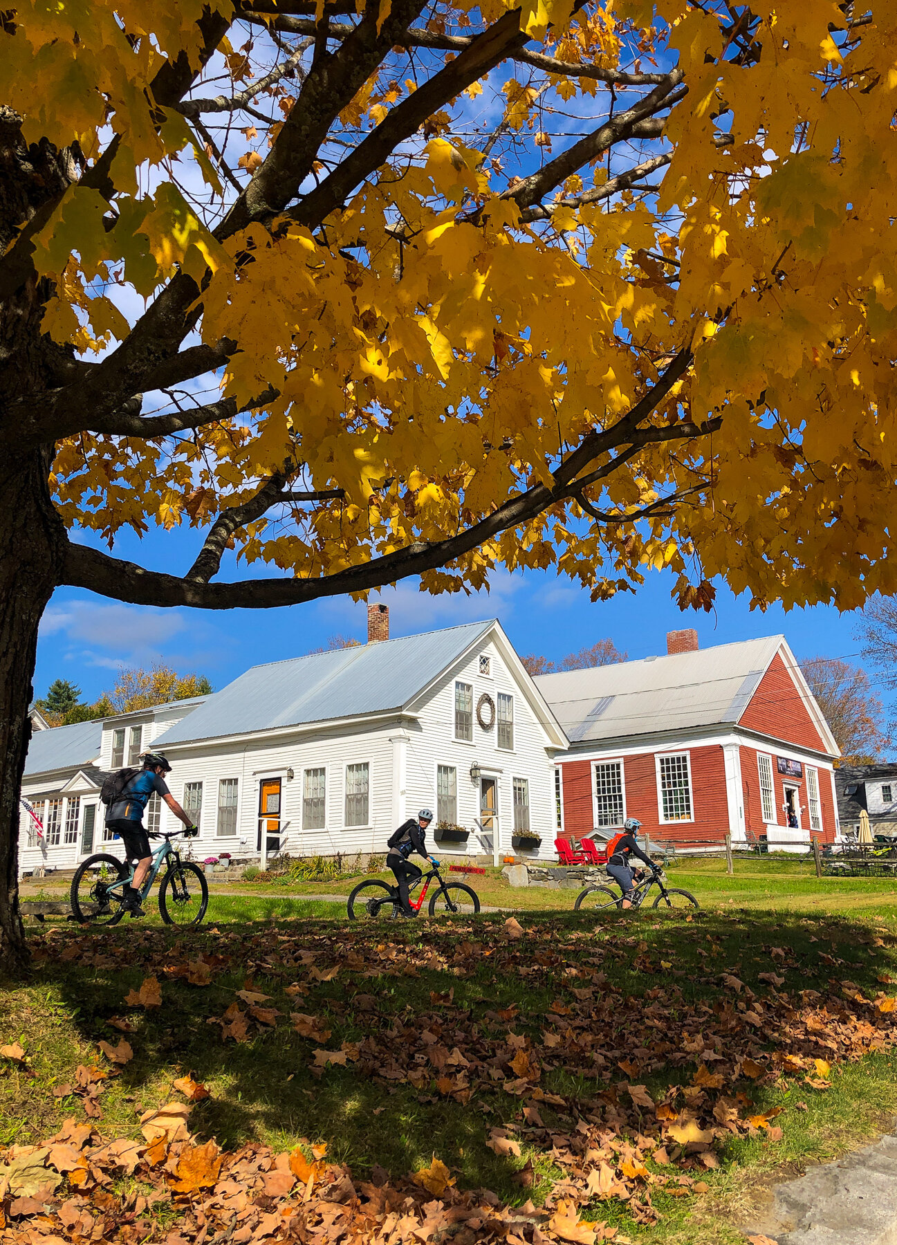 Kingdom Trails East Burke Vermont Mountain Biking _ Jonathan Heisler _ 1082019 _0013.jpg