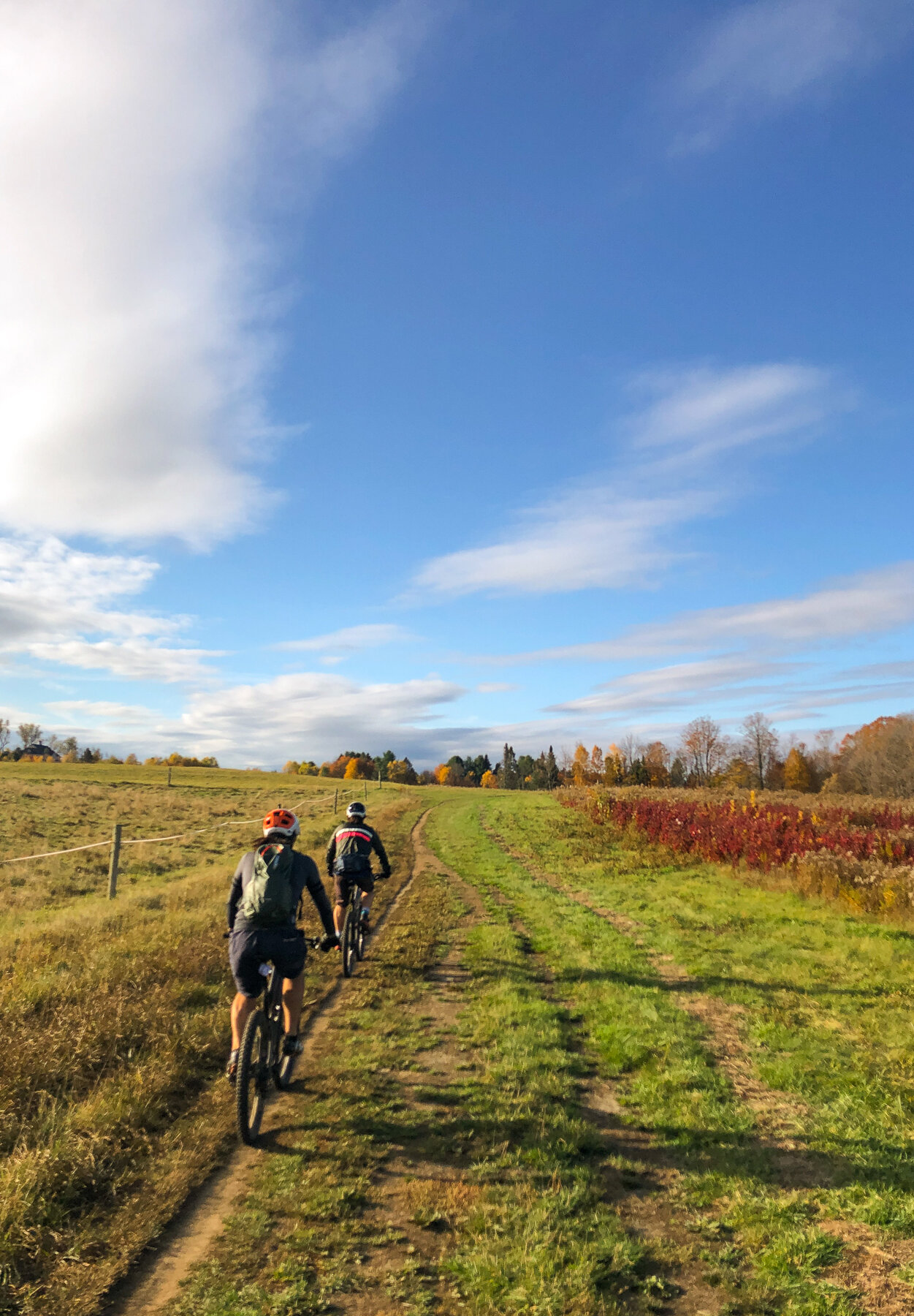 Kingdom Trails East Burke Vermont Mountain Biking _ Jonathan Heisler _ 1082019 _0018.jpg