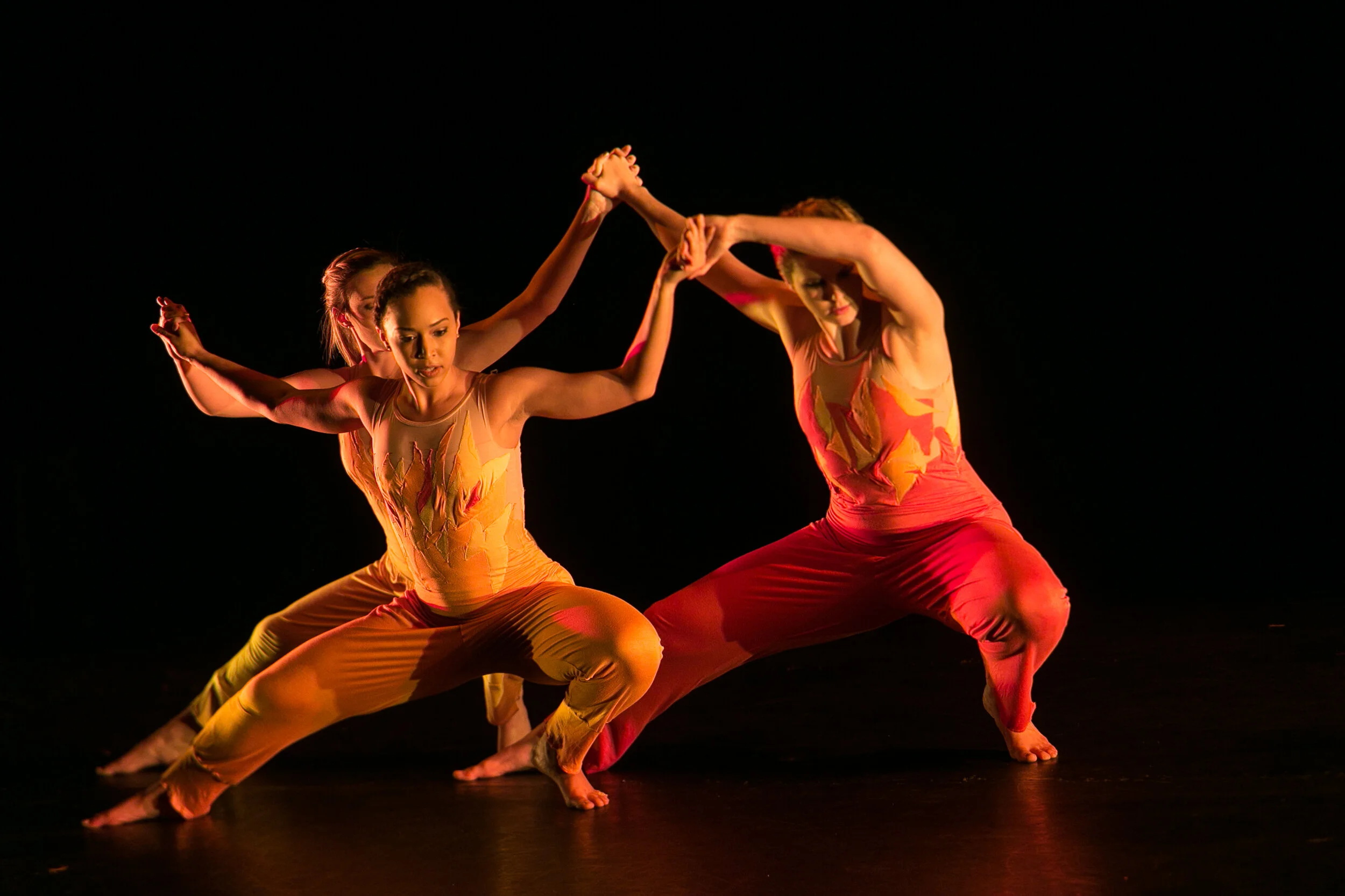  Photographer: Jonathan Heisler, Hofstra University Photographer 