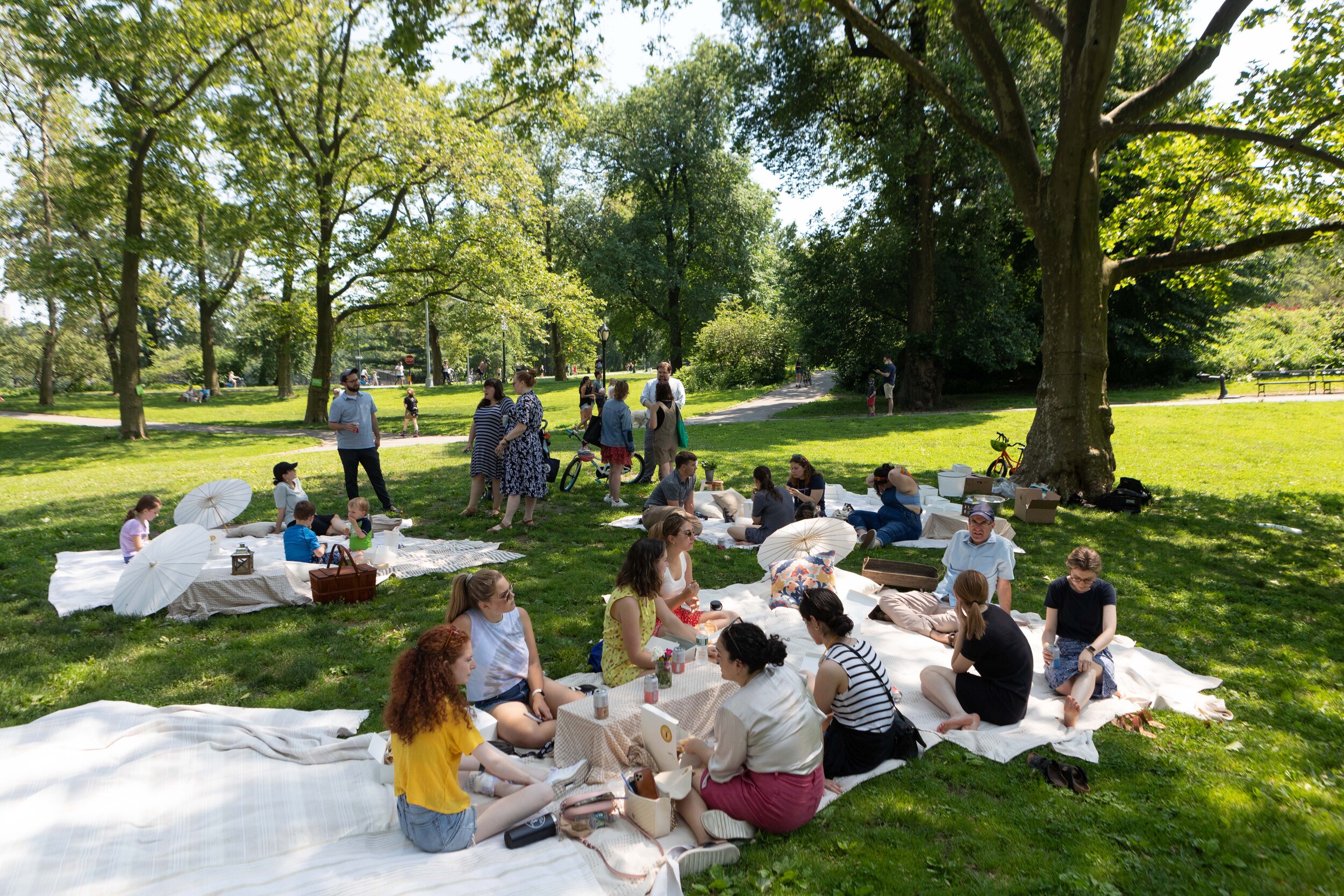 Central Park NYC Picnic _001.jpg