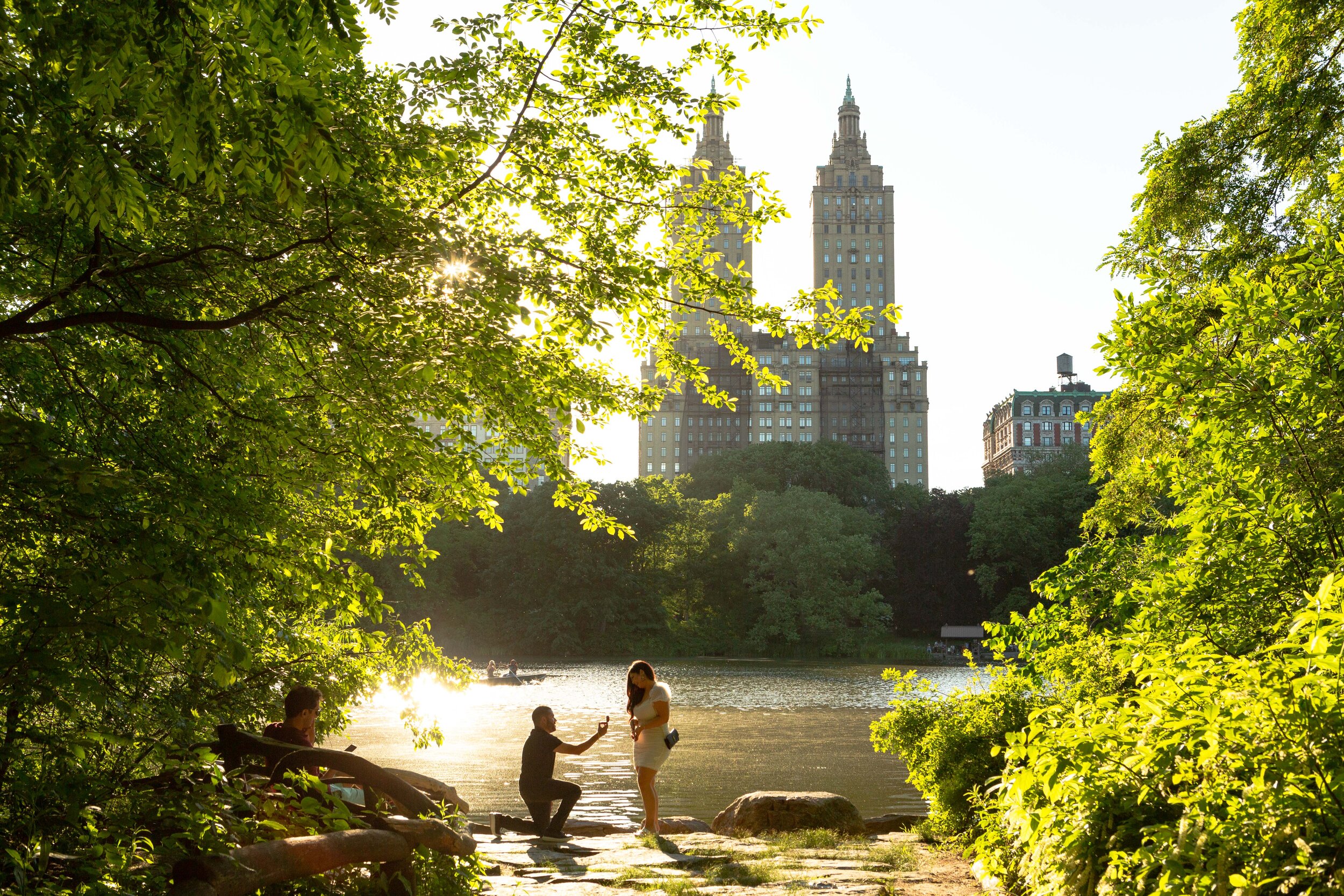 Central Park Proposal NYC_002.jpg