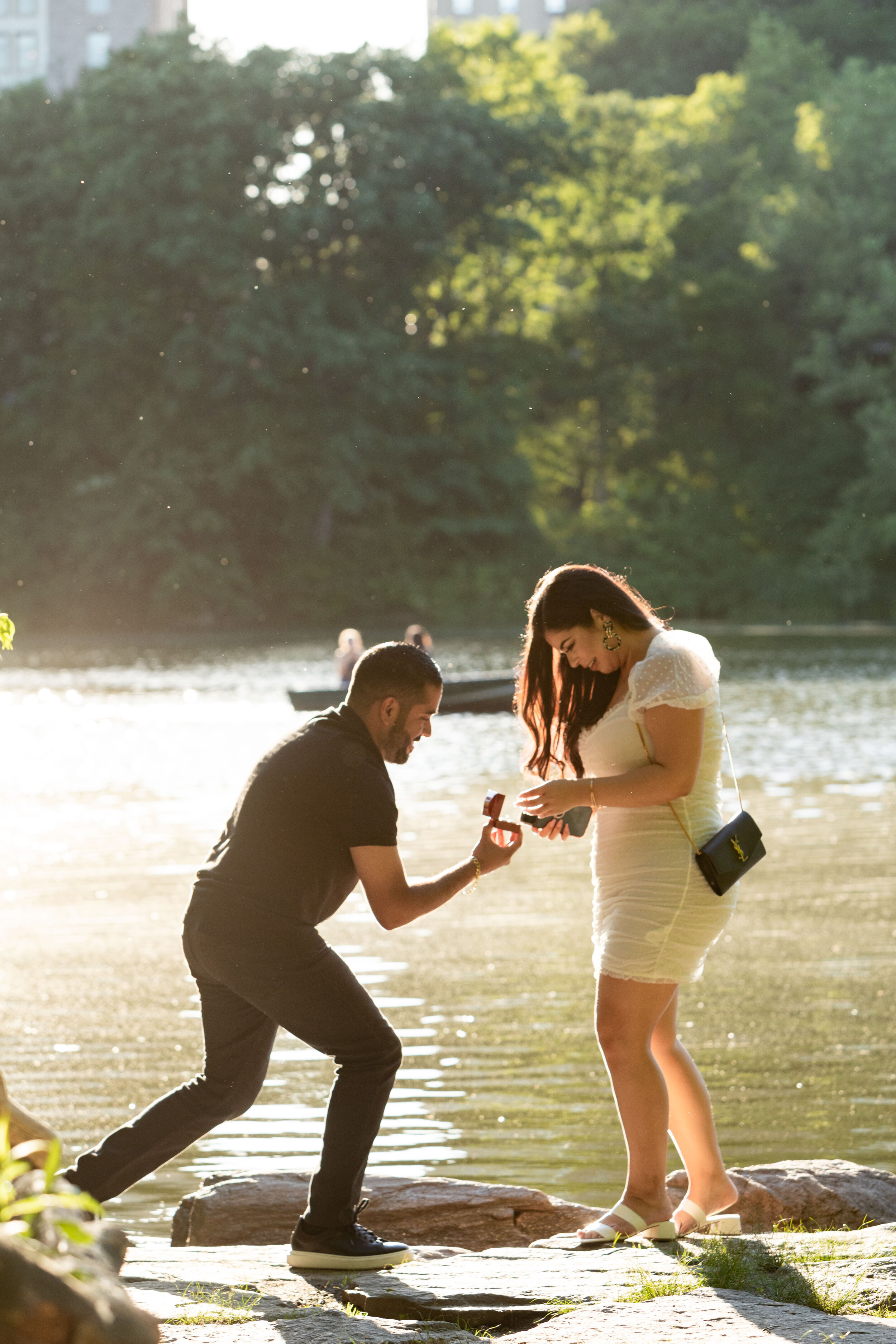 Central Park Proposal NYC_003.jpg