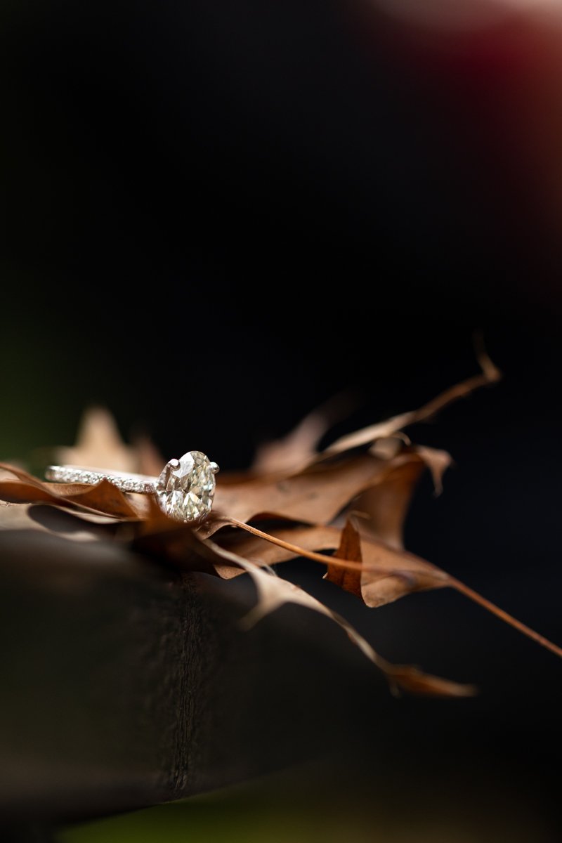 Gapstow Bridge Central Park Proposal Photographer NYC _ Jonathan Heisler _ 10232021 _ 0009.jpg