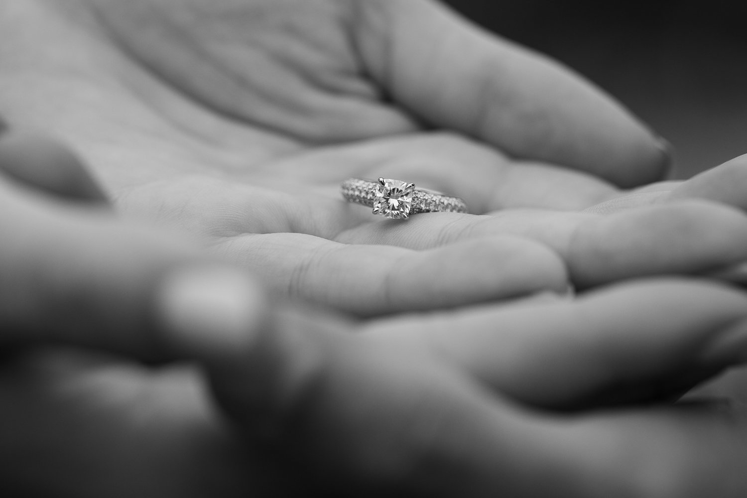 Central Park Proposal Photographer NYC _ Jonathan Heisler _11.28.2021 _ 0013.jpg