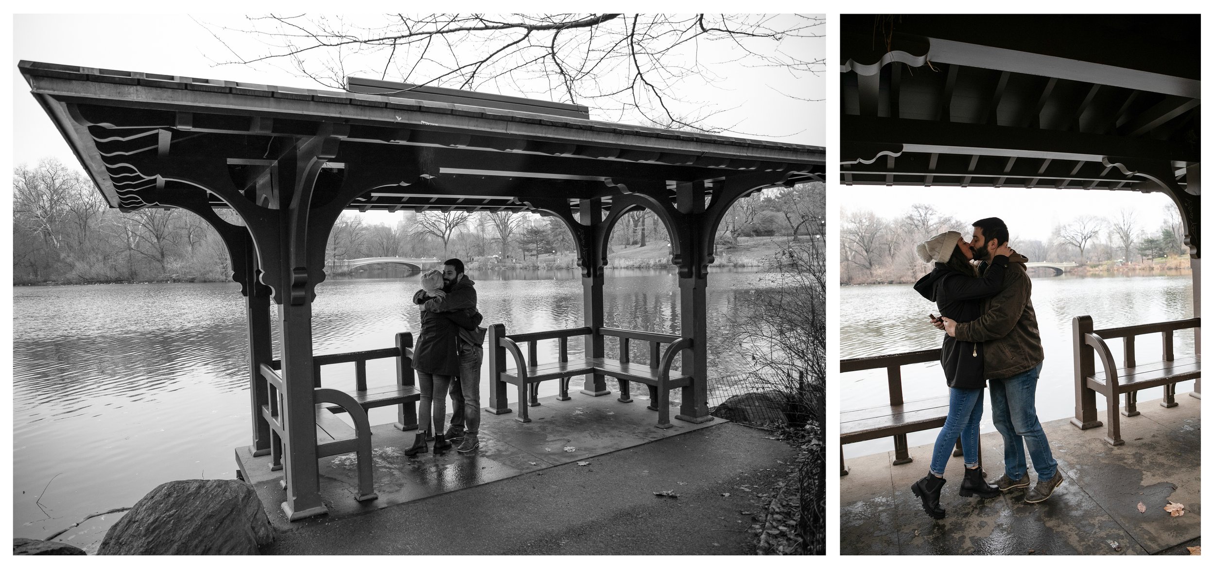 Central Park Proposal Photographer NYC _ Jonathan Heisler _12.17.2021 _ 0003.jpg