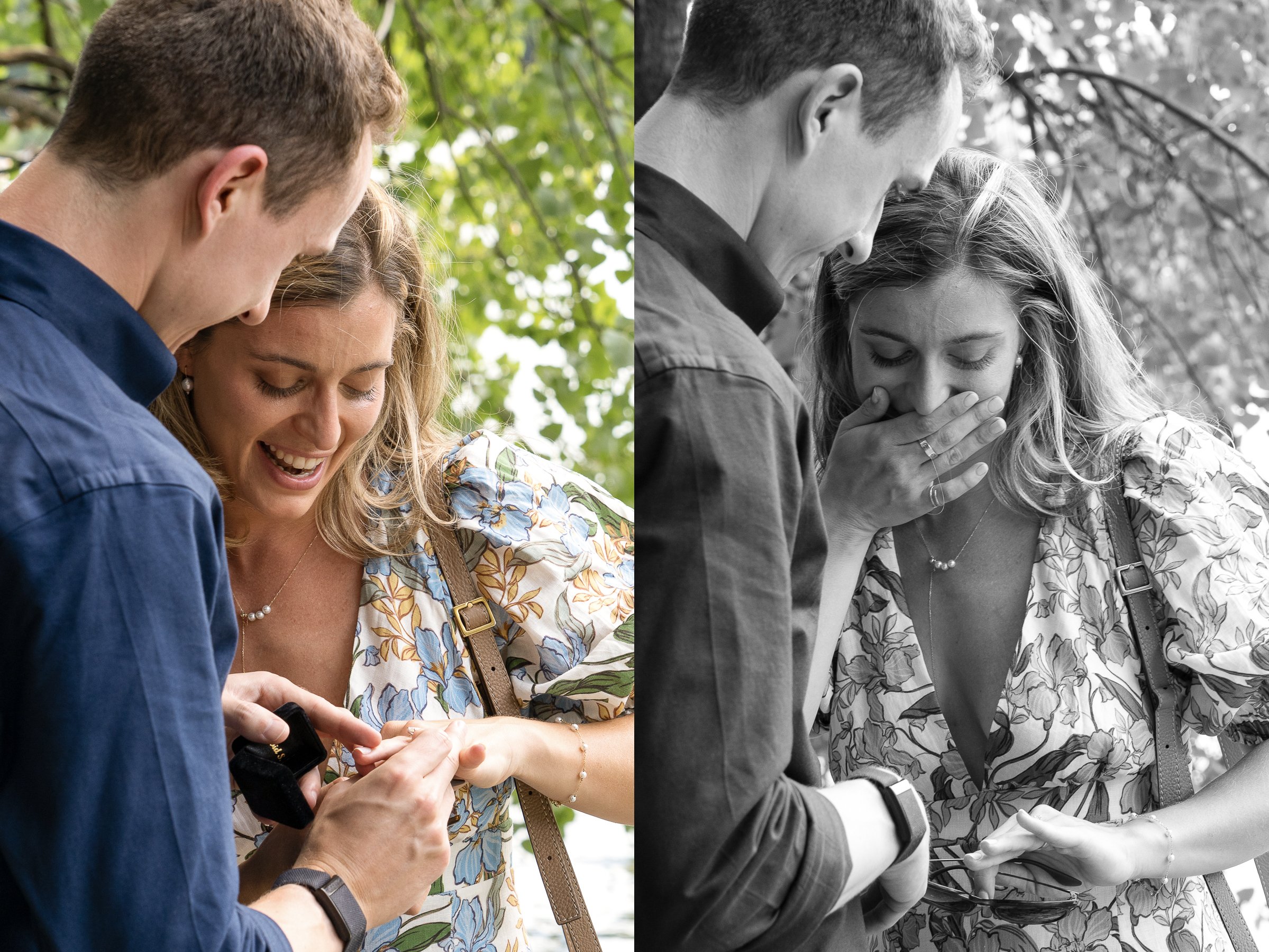 Secret Central Park Proposal Photographer _ 0002.jpg