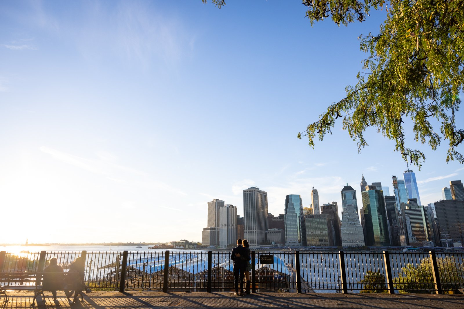 Brooklyn Promenade Proposal Photographer_0002.jpg