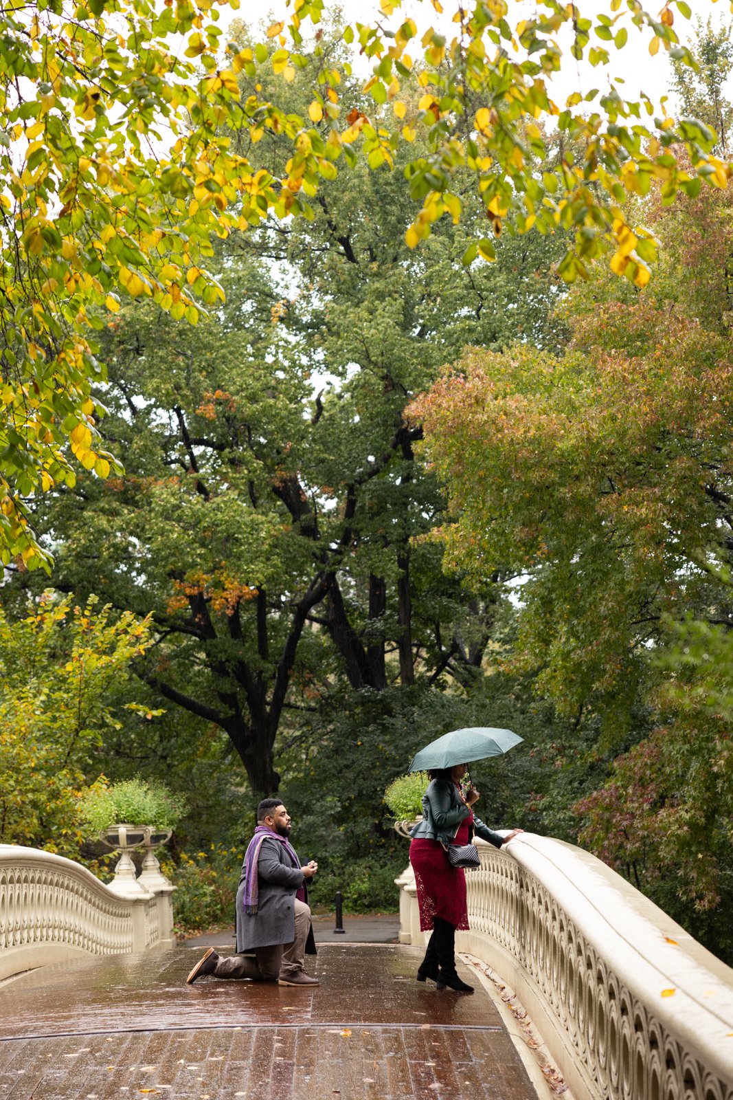 Central Park Bathesda Fountain Proposal Photographer_0002.jpg