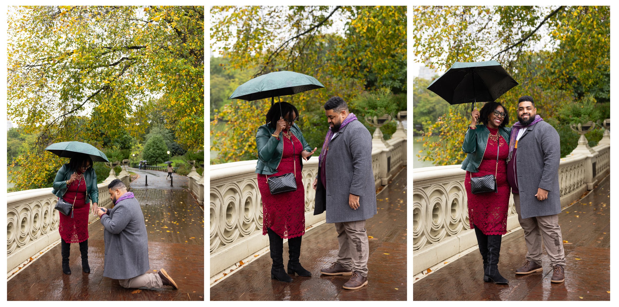 Central Park Bathesda Fountain Proposal Photographer_0004.jpg