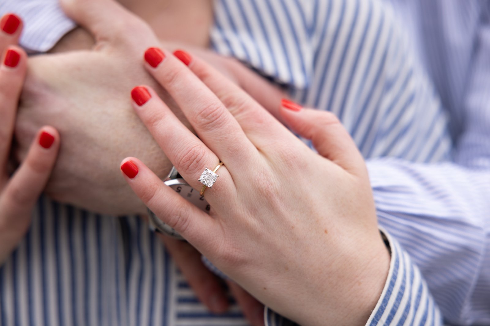 Central Park NYC proposal photographer0006.jpg