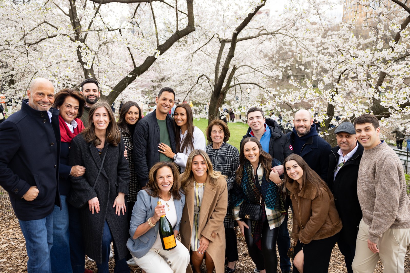 Central Park NYC proposal photographer _ Bow Bridge _0009.jpg