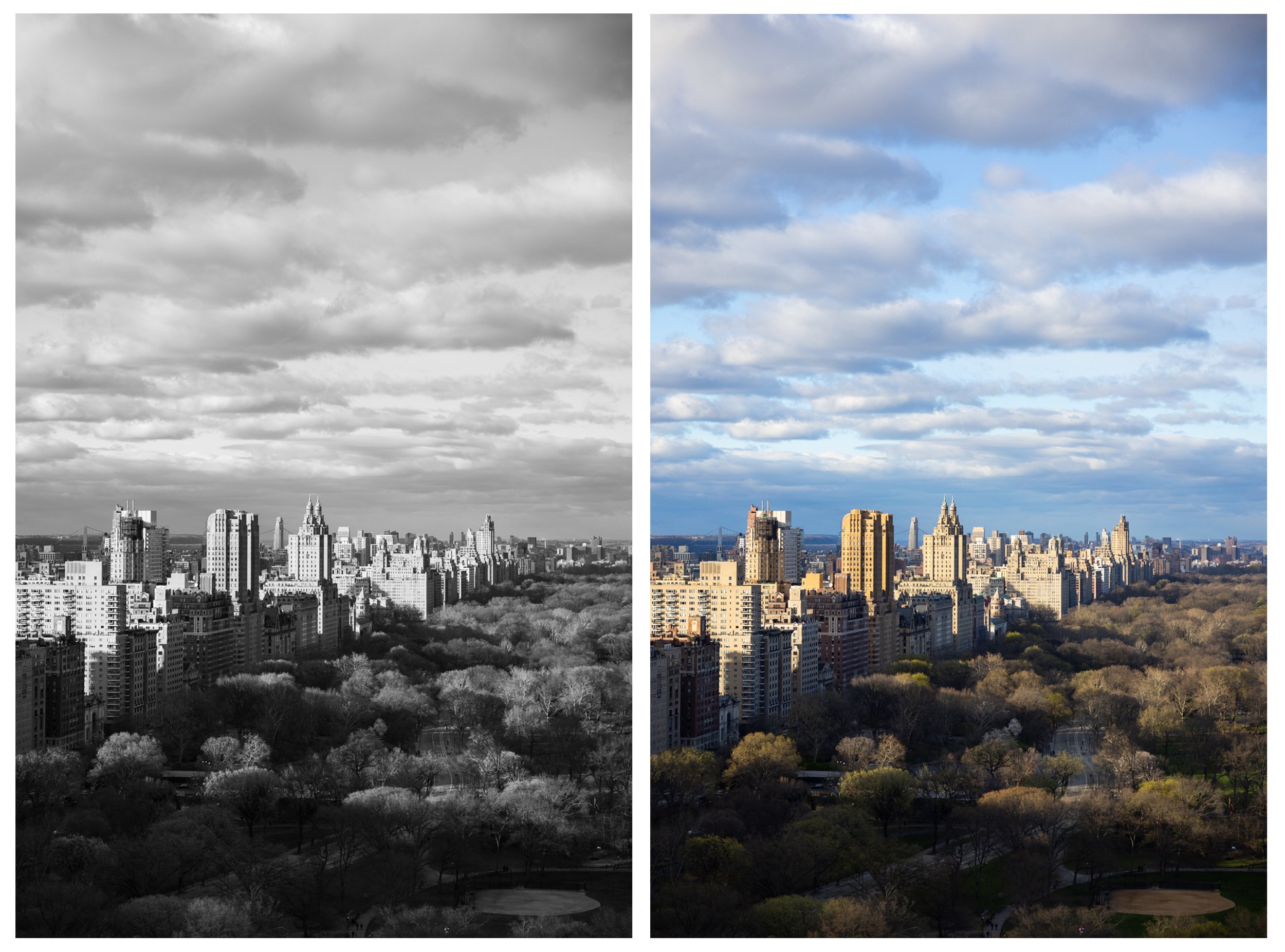 Central Park NYC Roofotp Proposal Photographer NYC_0001.jpg